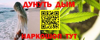 шишки Надым