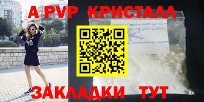шишки Надым