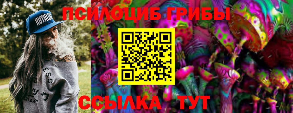 Изобильный  Галлюциногенные грибы Psilocybine cubensis  Вход с VPN 